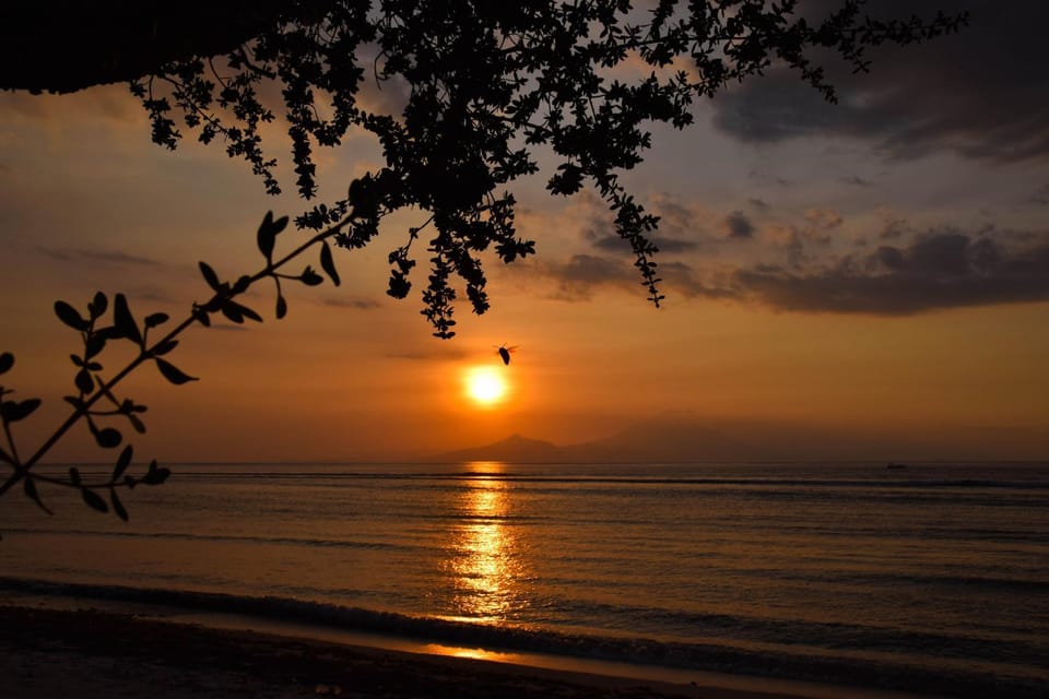 Natural landscape, View (from property/room), Beach, Beach, Hiking, Landmark view, Sunset