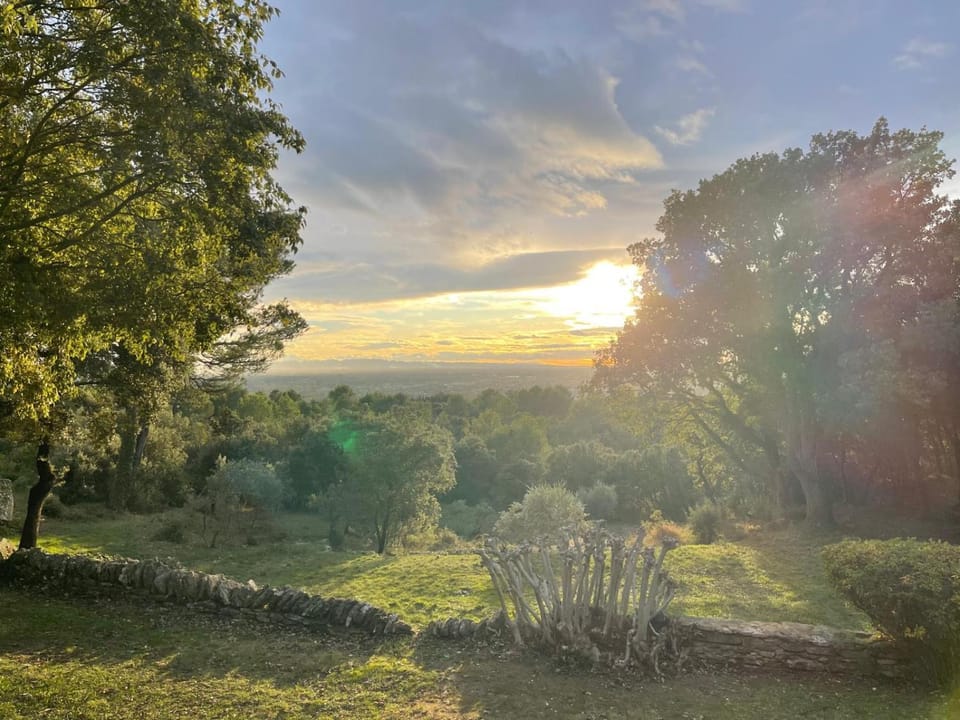 Garden, View (from property/room), Garden view