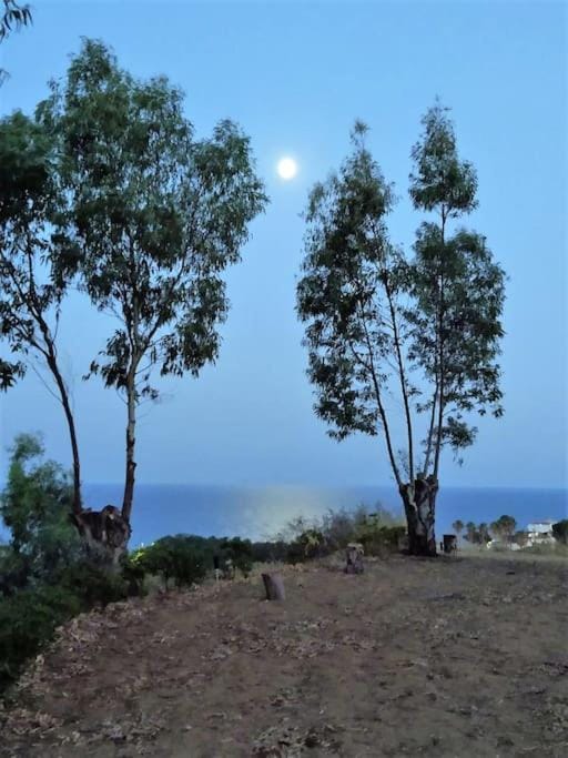 Natural landscape, Sea view