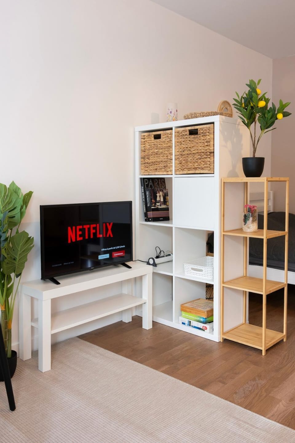 Communal lounge/ TV room, Library, TV and multimedia, wardrobe