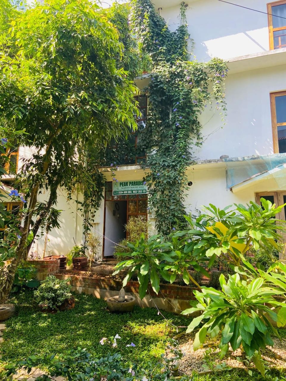 Property building, Garden