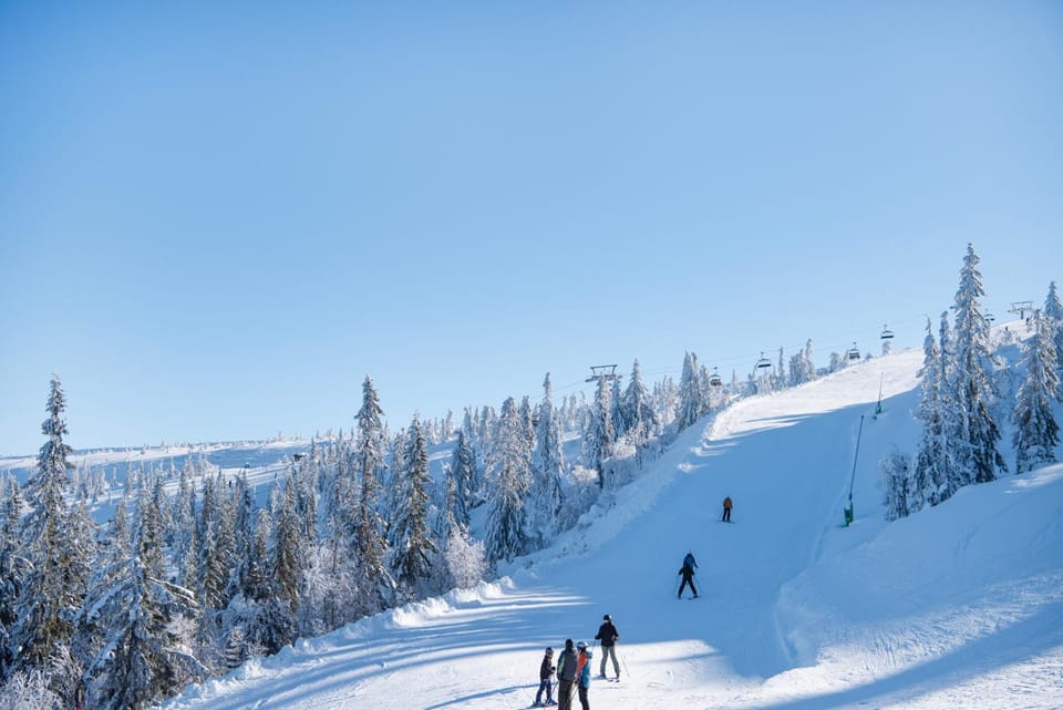 Day, People, Winter, Ski School, Ski School, Skiing, Skiing, group of guests