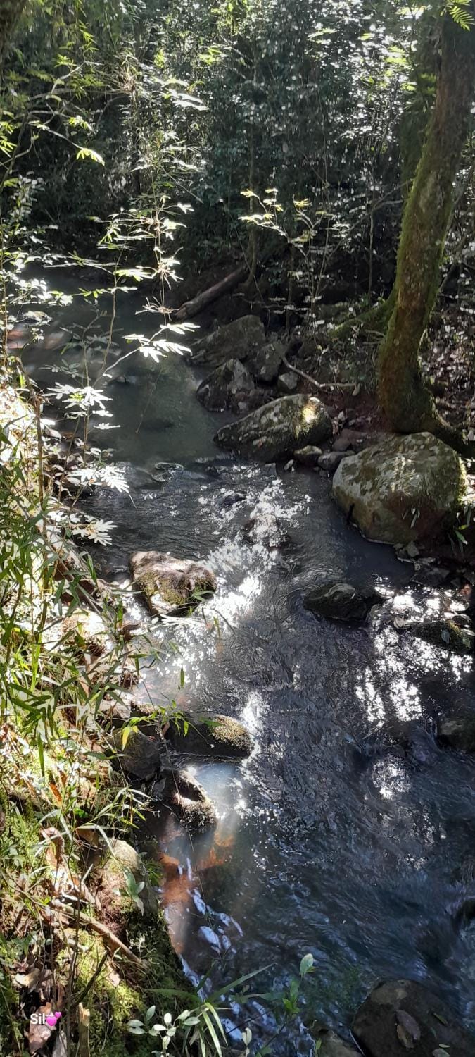 Natural landscape, Hiking