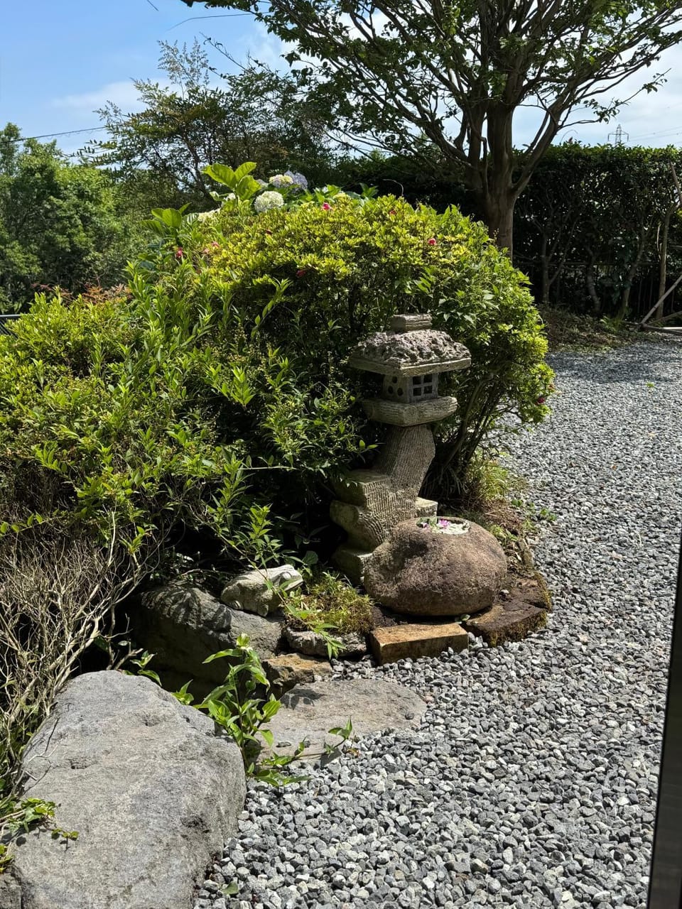 Day, Garden, Garden, Garden view
