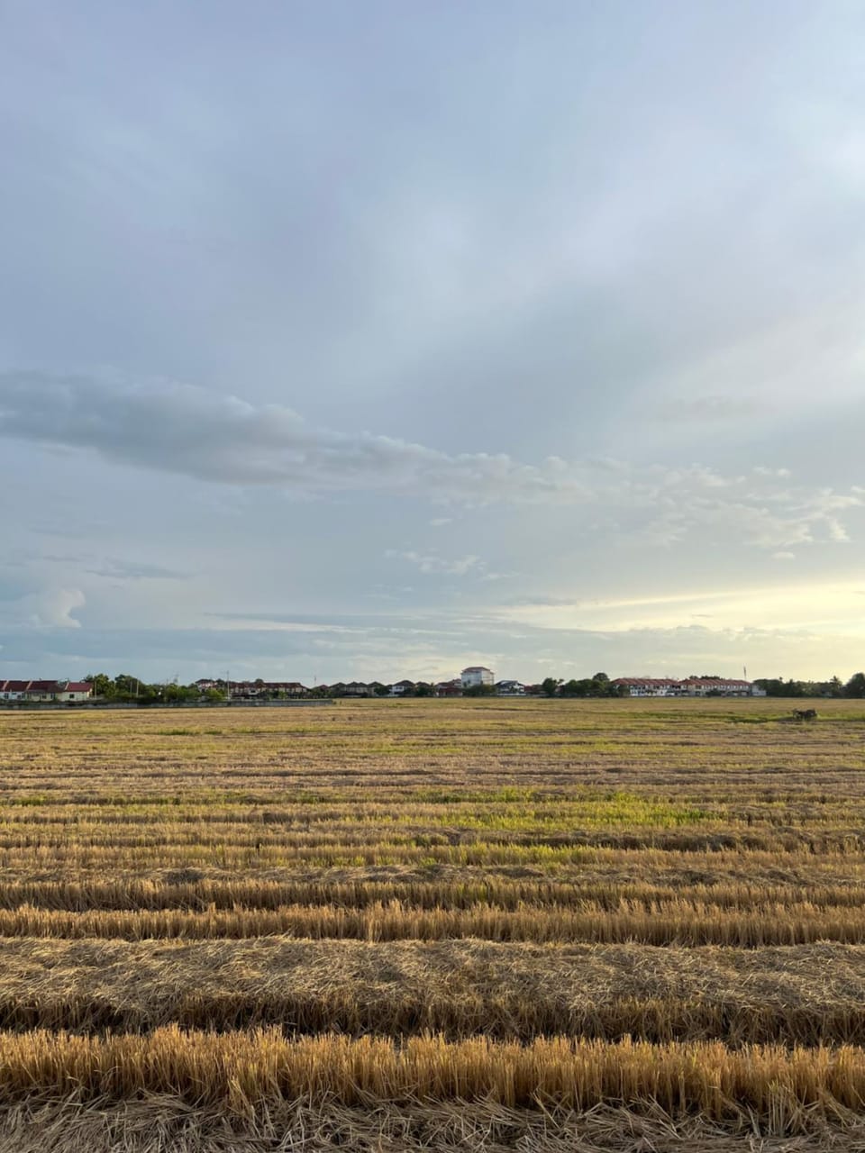 Landmark view