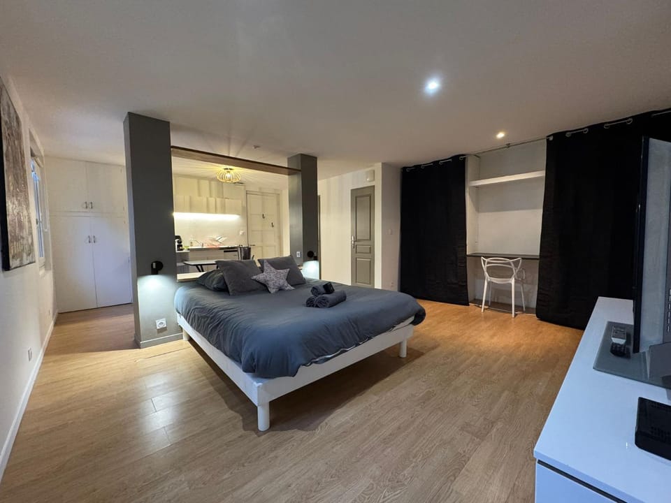 2 Twenty Fort Studio with pool Lyon Apartment in Villeurbanne