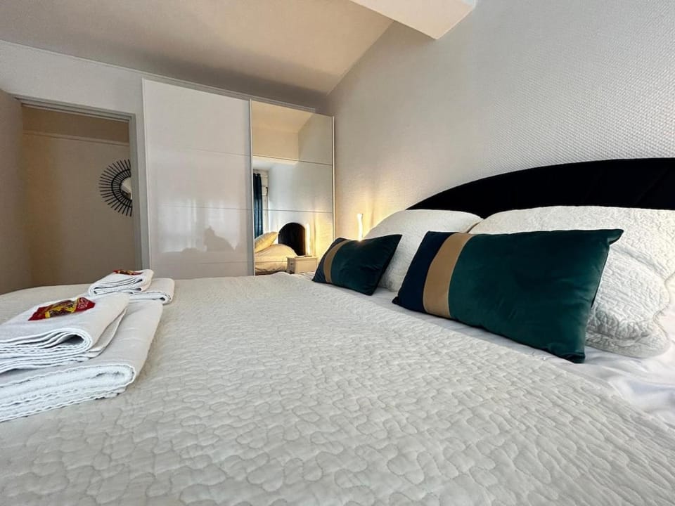 E Mercier magnifique grand T2 à deux pas du centre Apartment in Epernay