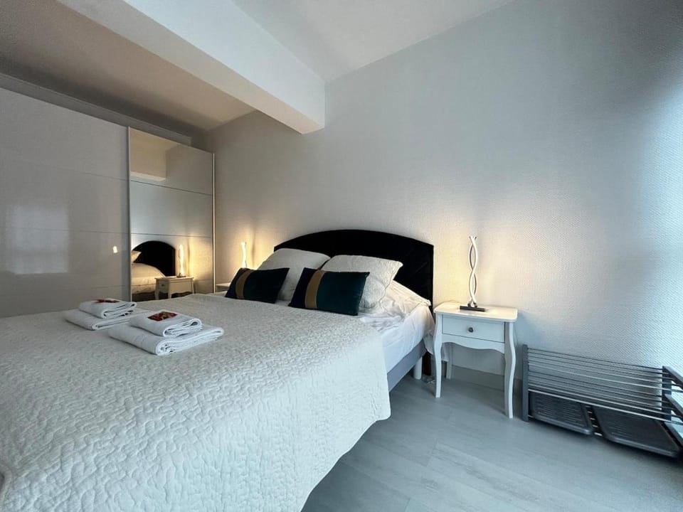E Mercier magnifique grand T2 à deux pas du centre Apartment in Epernay