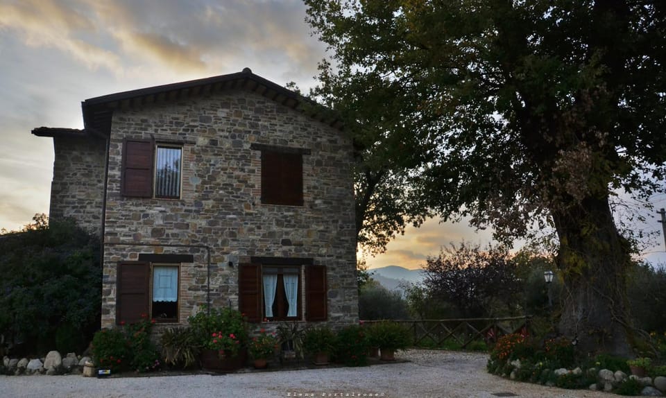 Facade/entrance, Garden, Garden view, Landmark view, Mountain view, Area and facilities