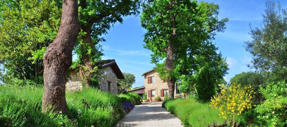 Facade/entrance, Garden view