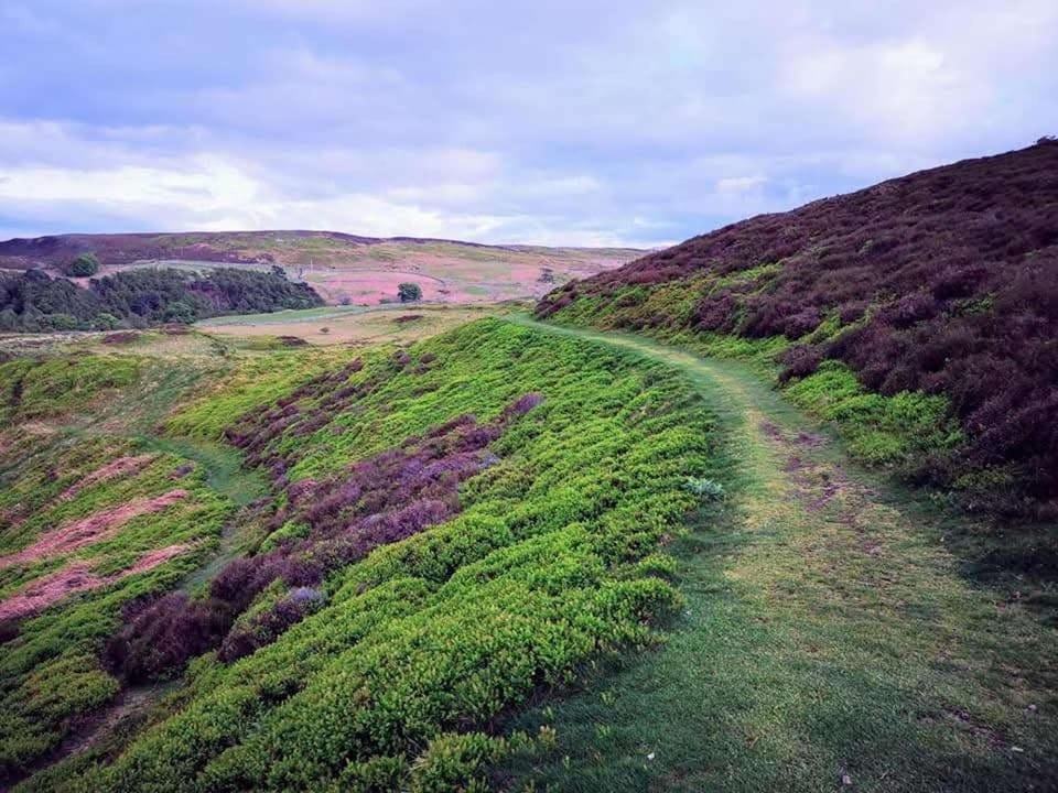Stunning Sea View Blue Haven in Penmaenmawr House in Wales