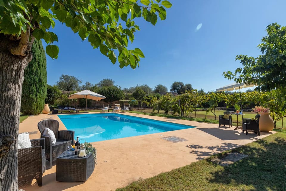 Garden, Other, Garden view, sunbed