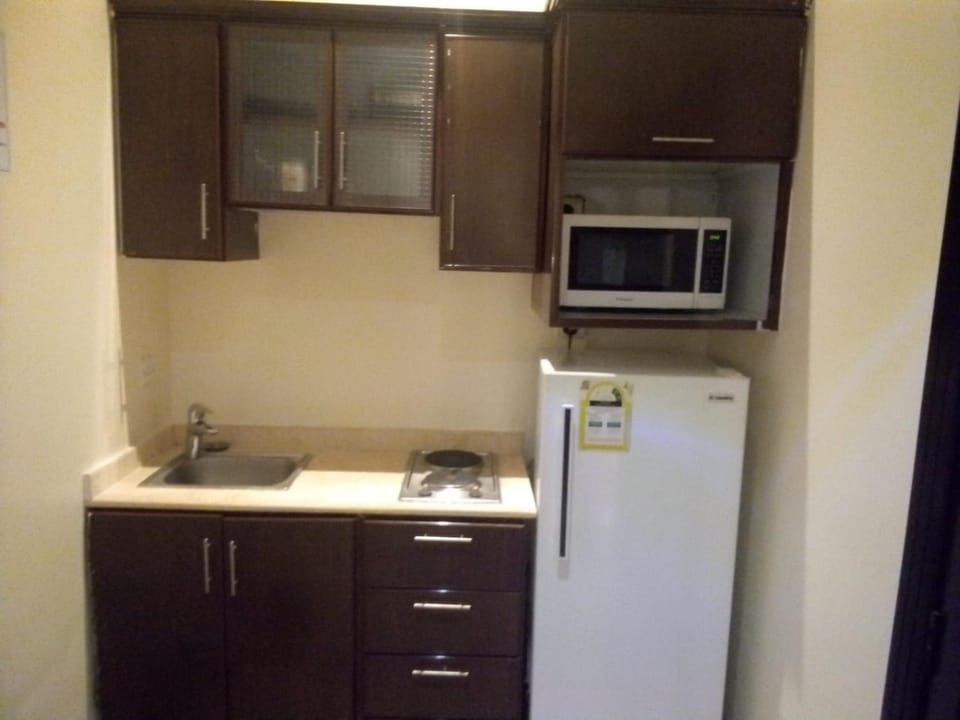 Kitchen or kitchenette, minibar, oven, stove