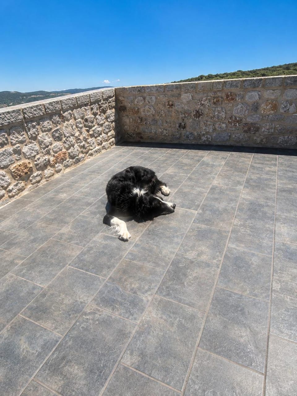 Property building, Restaurant/places to eat, Day, Logo/Certificate/Sign, Logo/Certificate/Sign, Logo/Certificate/Sign, Pets, Pets, Pets, Swimming pool, Breakfast, pet friendly, pet friendly