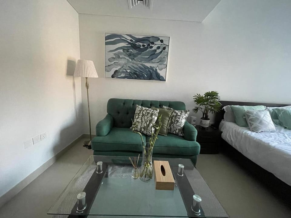 Cozy & Bright Studio accessible to bus and Metro Apartment in Dubai