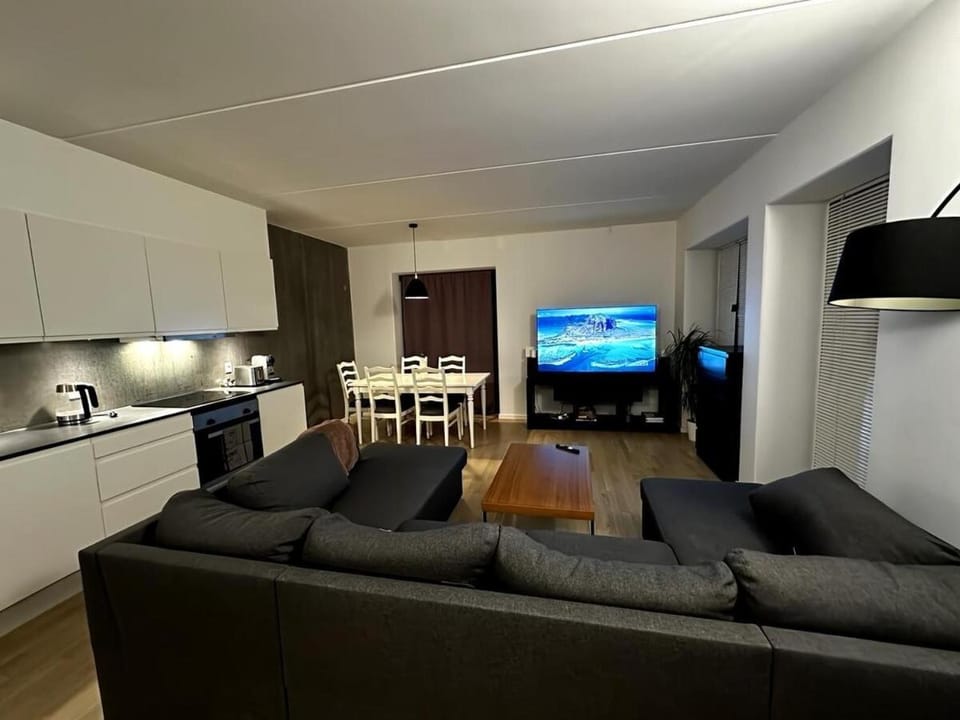 Kitchen or kitchenette, Living room, Seating area, Dining area, stove