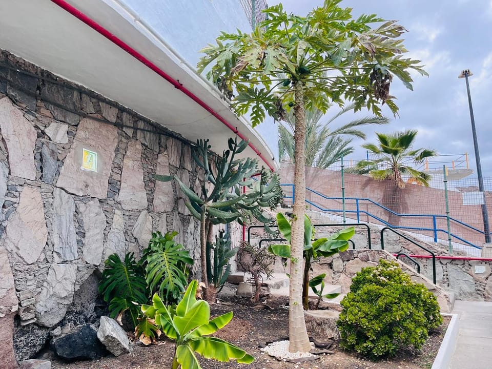Off site, Garden