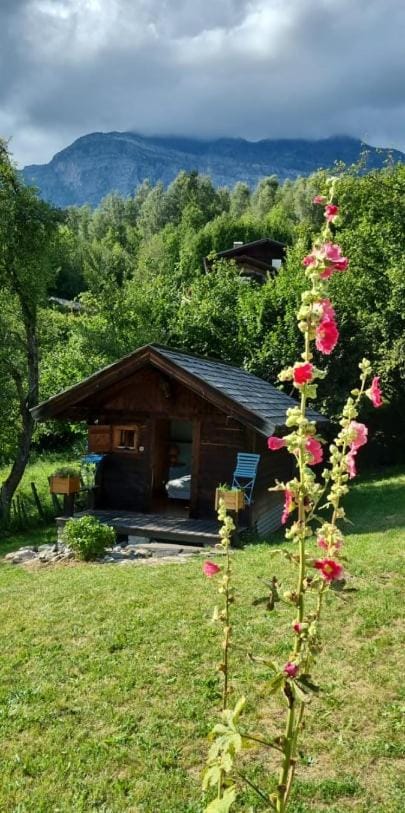 Property building, Garden, Garden view