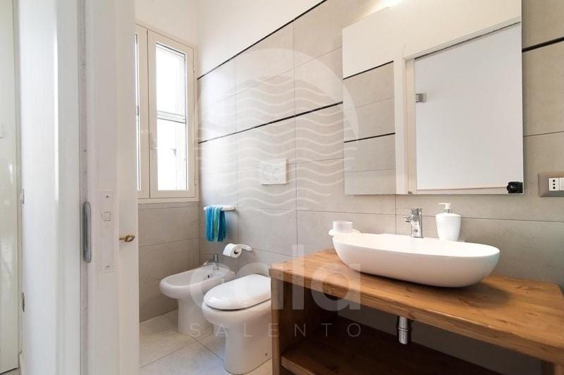 Shower, Toilet, Bathroom, bidet