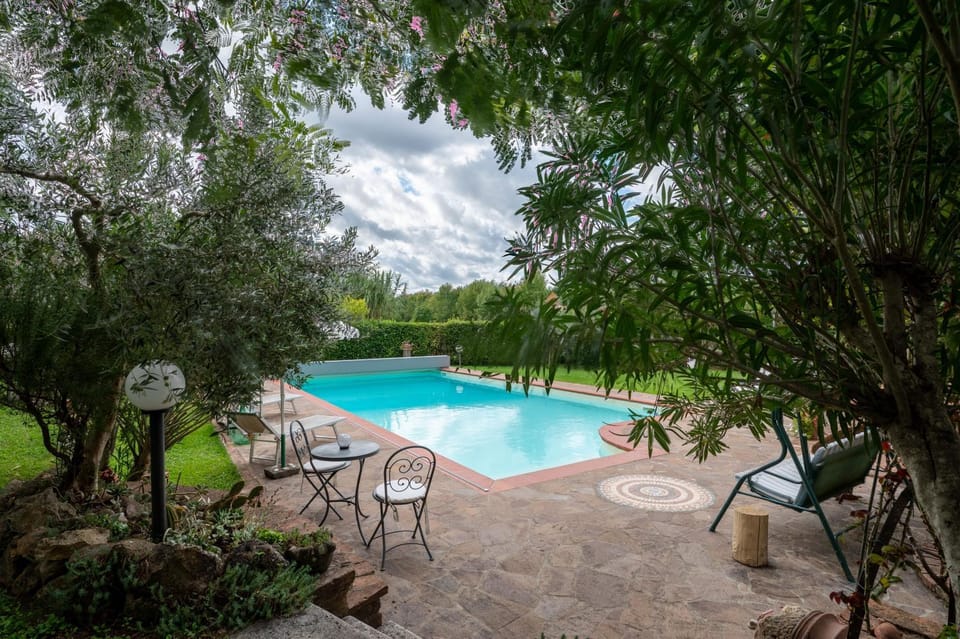 Spring, Garden, Garden view, Pool view, Swimming pool, sunbed