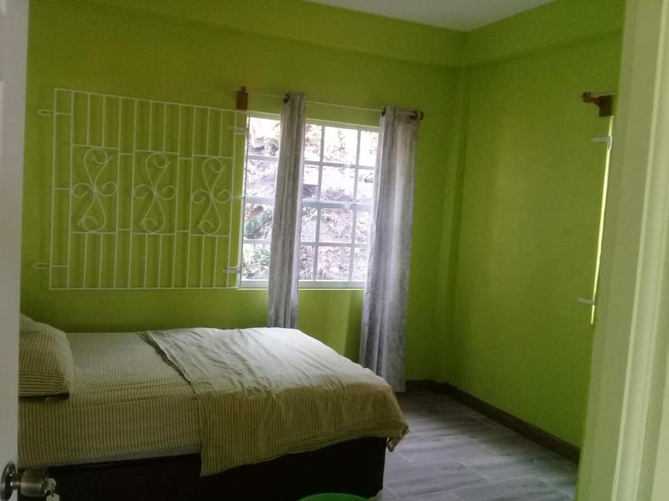 Belledezvous Accommodations Apartment in Saint George