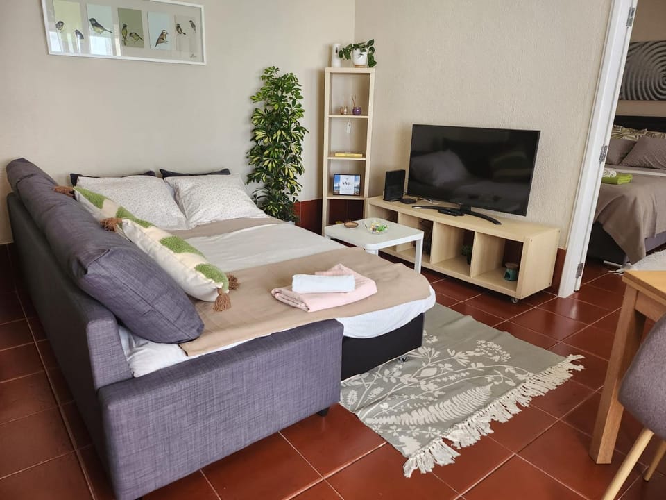 Bed, TV and multimedia, Living room, Seating area