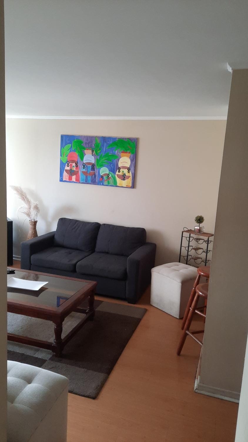 Departamento ideal para relajarse y descansar Apartment in Santiago Metropolitan Region