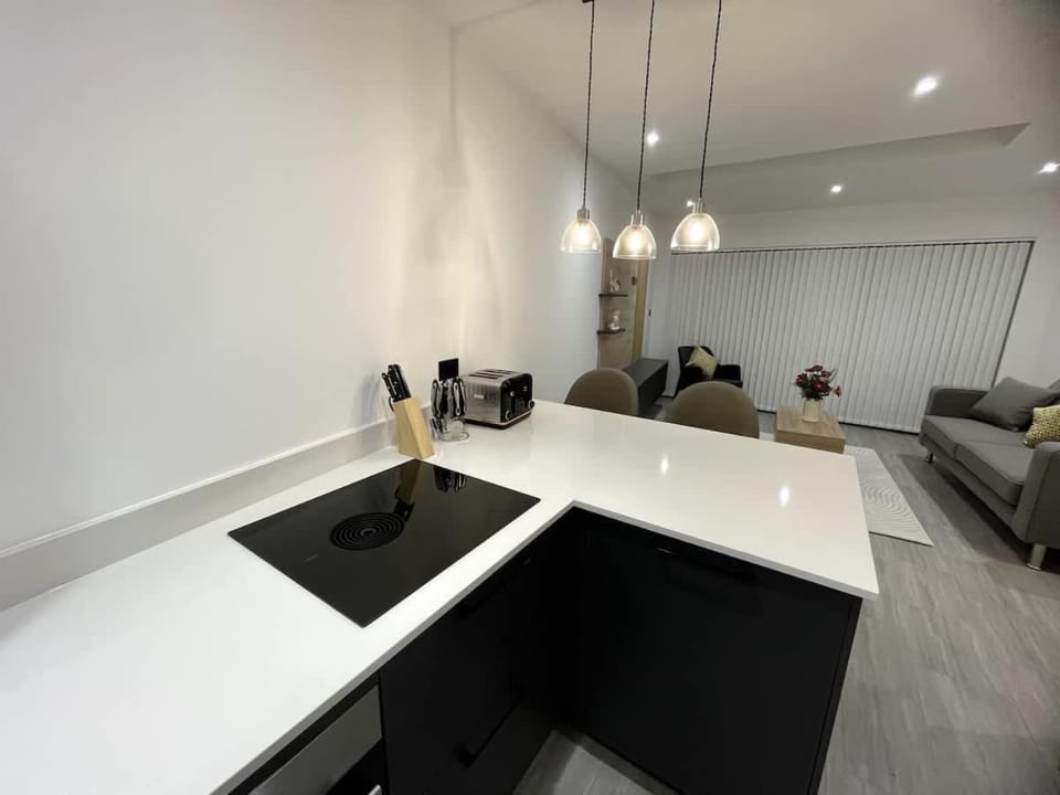 Modern London House and Garden - Eco Friendly House in London Borough of Southwark