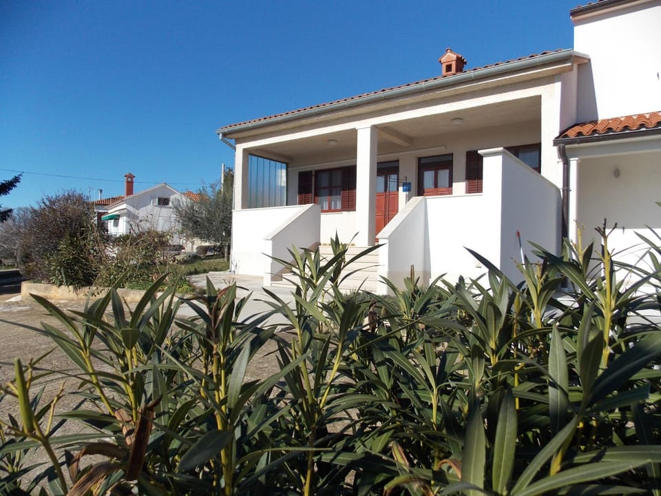 Property building, Garden view