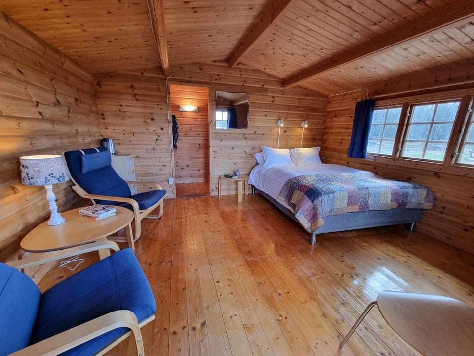 Bed, Living room, Photo of the whole room, Seating area, Bedroom