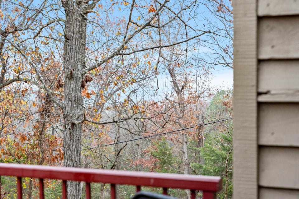 Ozark Ridge 19 House in Table Rock Lake