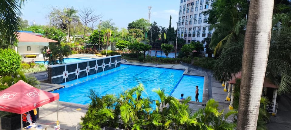 Pool view, Swimming pool