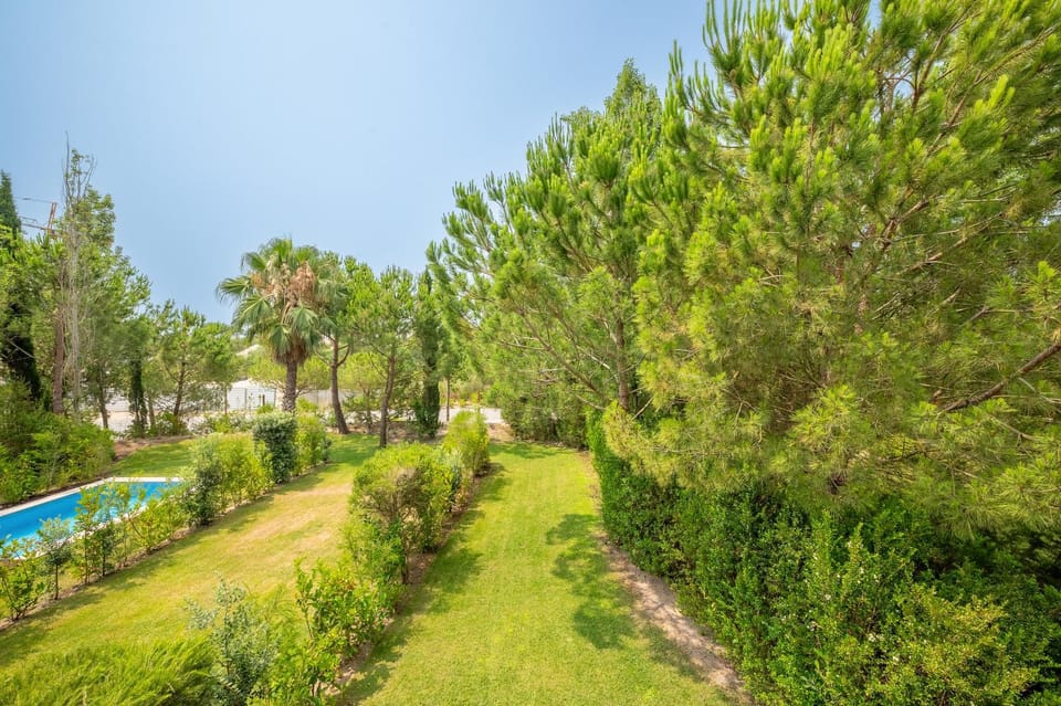 Garden, Garden view, Pool view