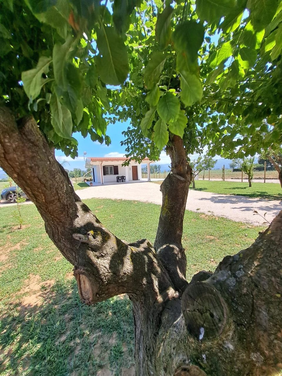 Il Melograno House in Lazio