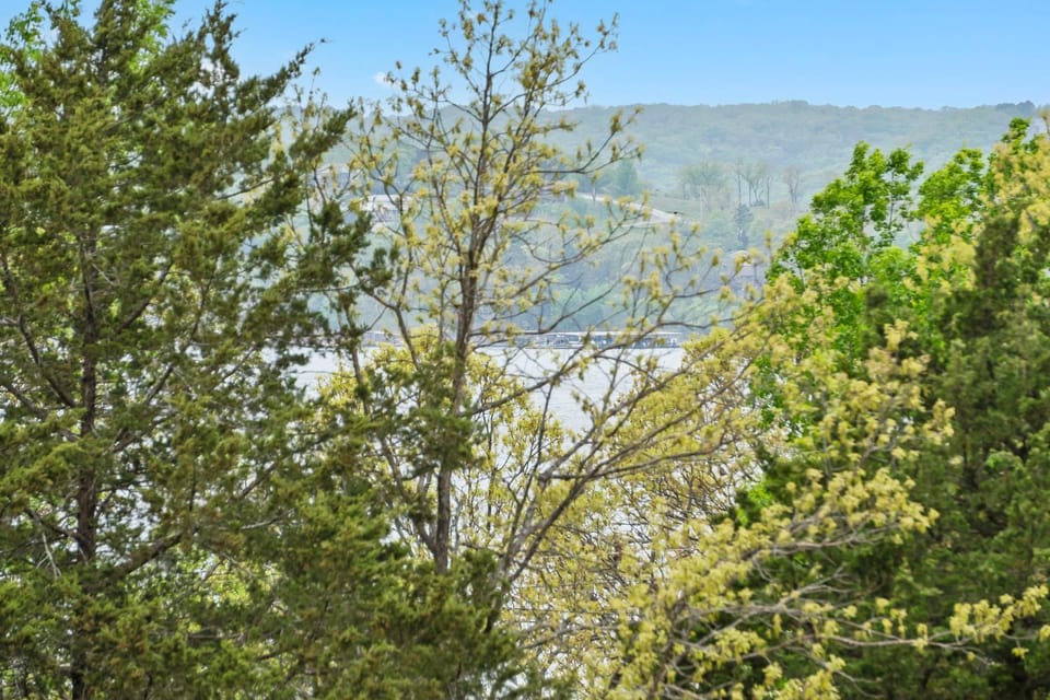 1 Mile to State Park Marina- Free Daily Tickets- Table Rock Lake Near- Arcades! House in Ridgedale