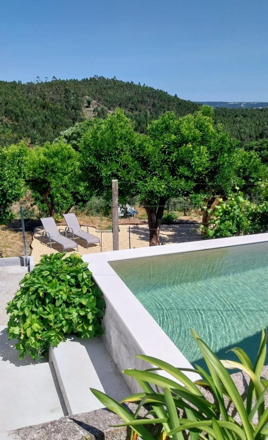 Pool view, Swimming pool