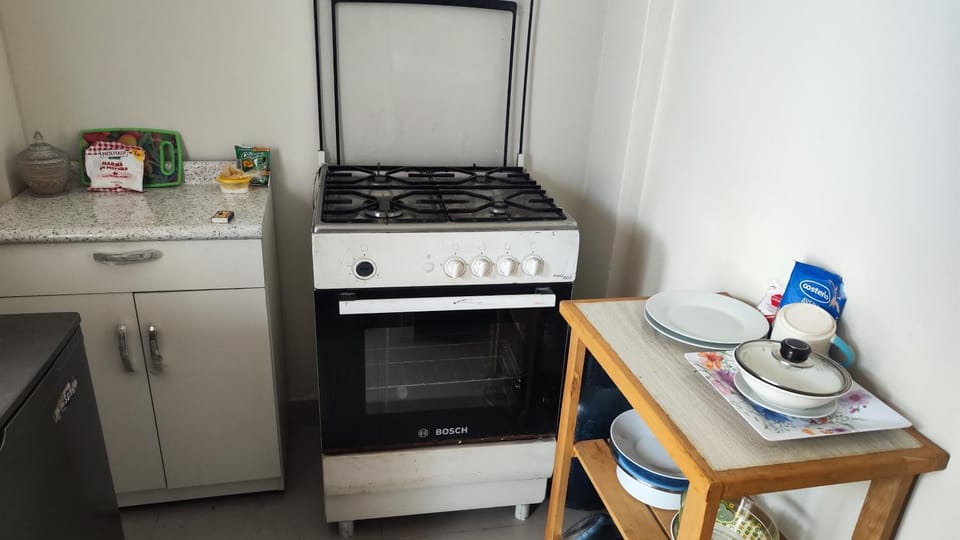 Kitchen or kitchenette, pet friendly