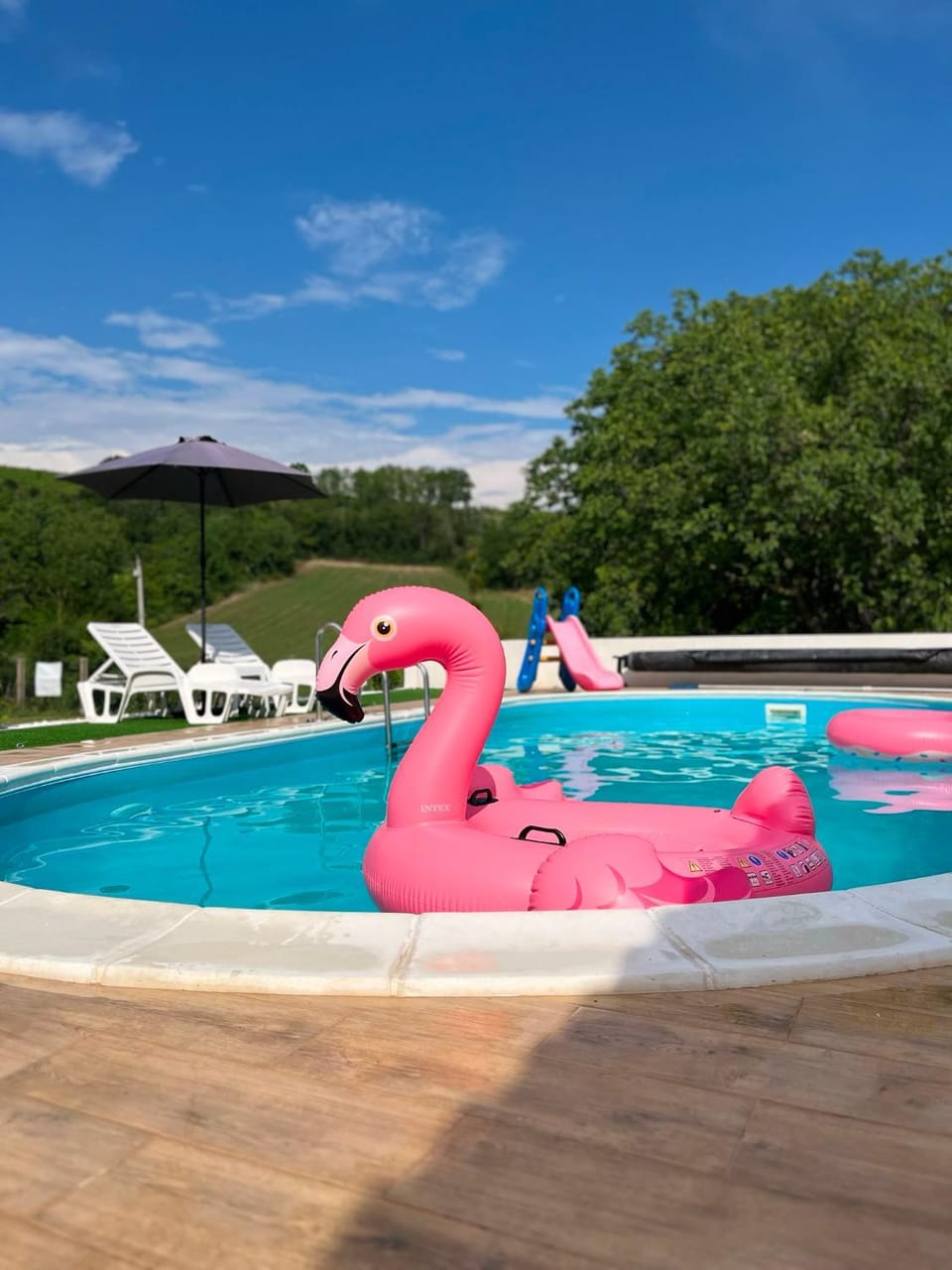 Vikend house Cvrcak House in Vojvodina