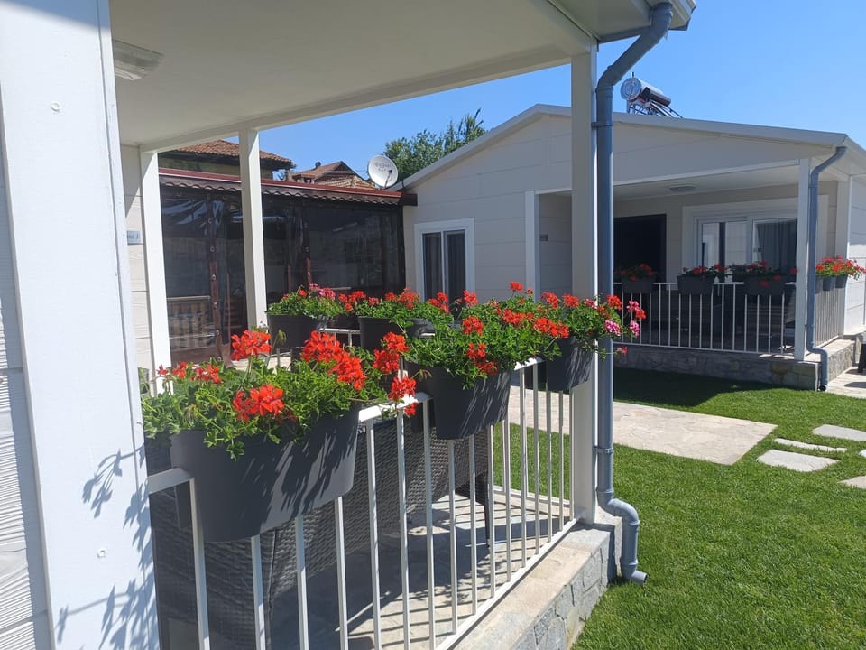 Patio, Garden, Garden view