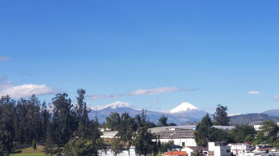 View (from property/room)