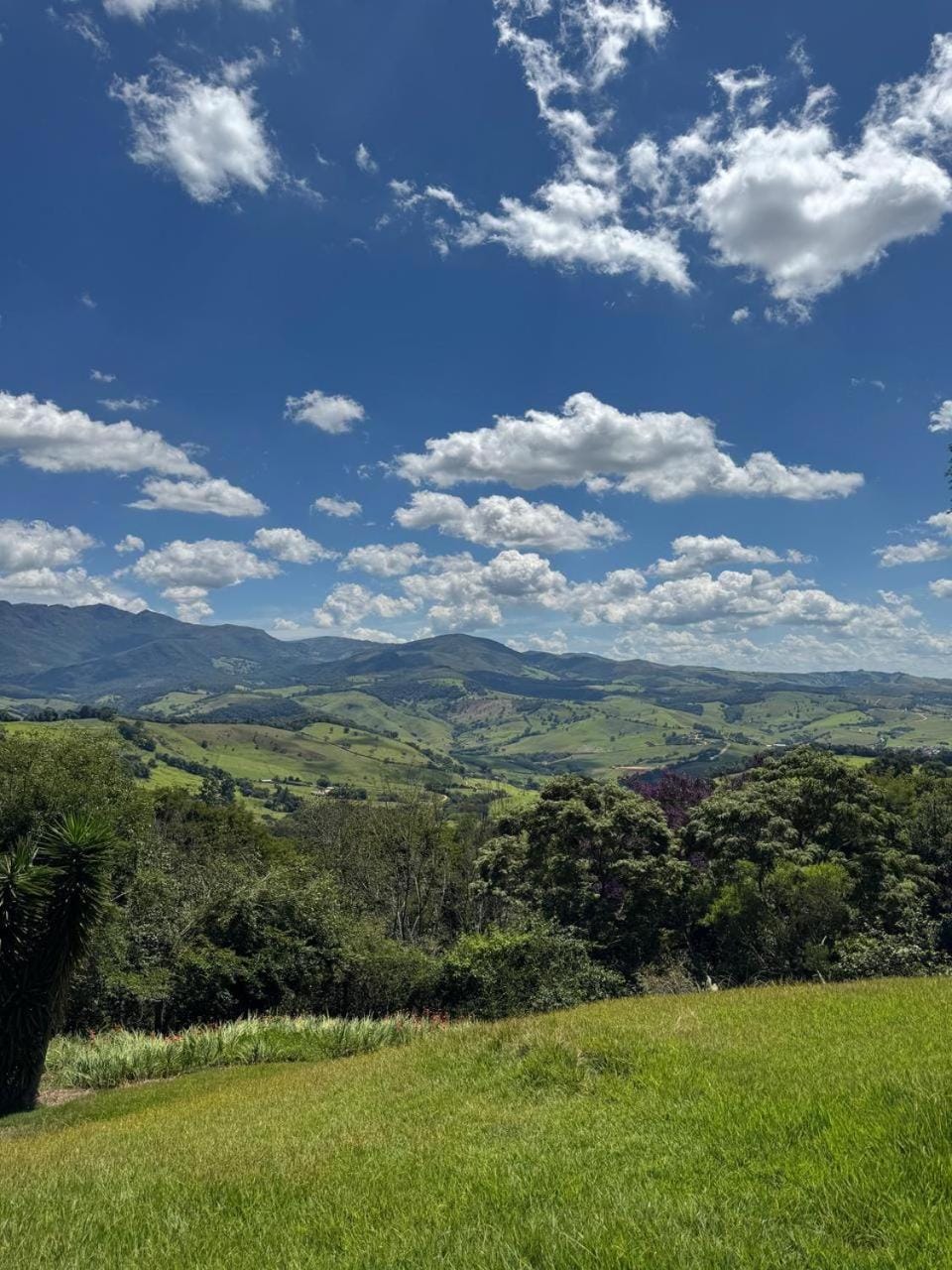 Natural landscape
