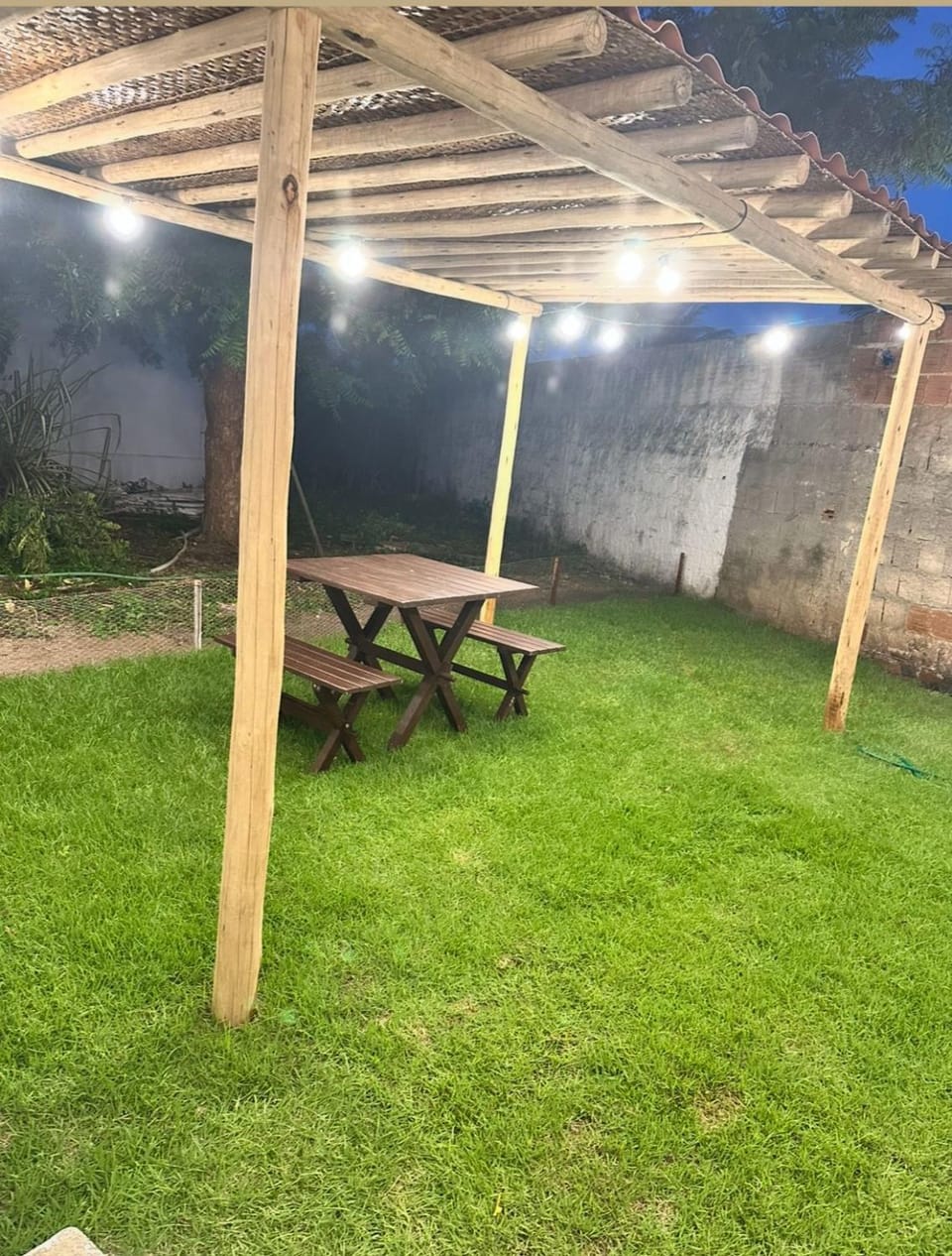 Patio, Garden