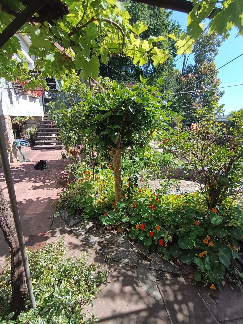 Casa rosa 4 Vacation rental in Entre Ríos Province, Argentina