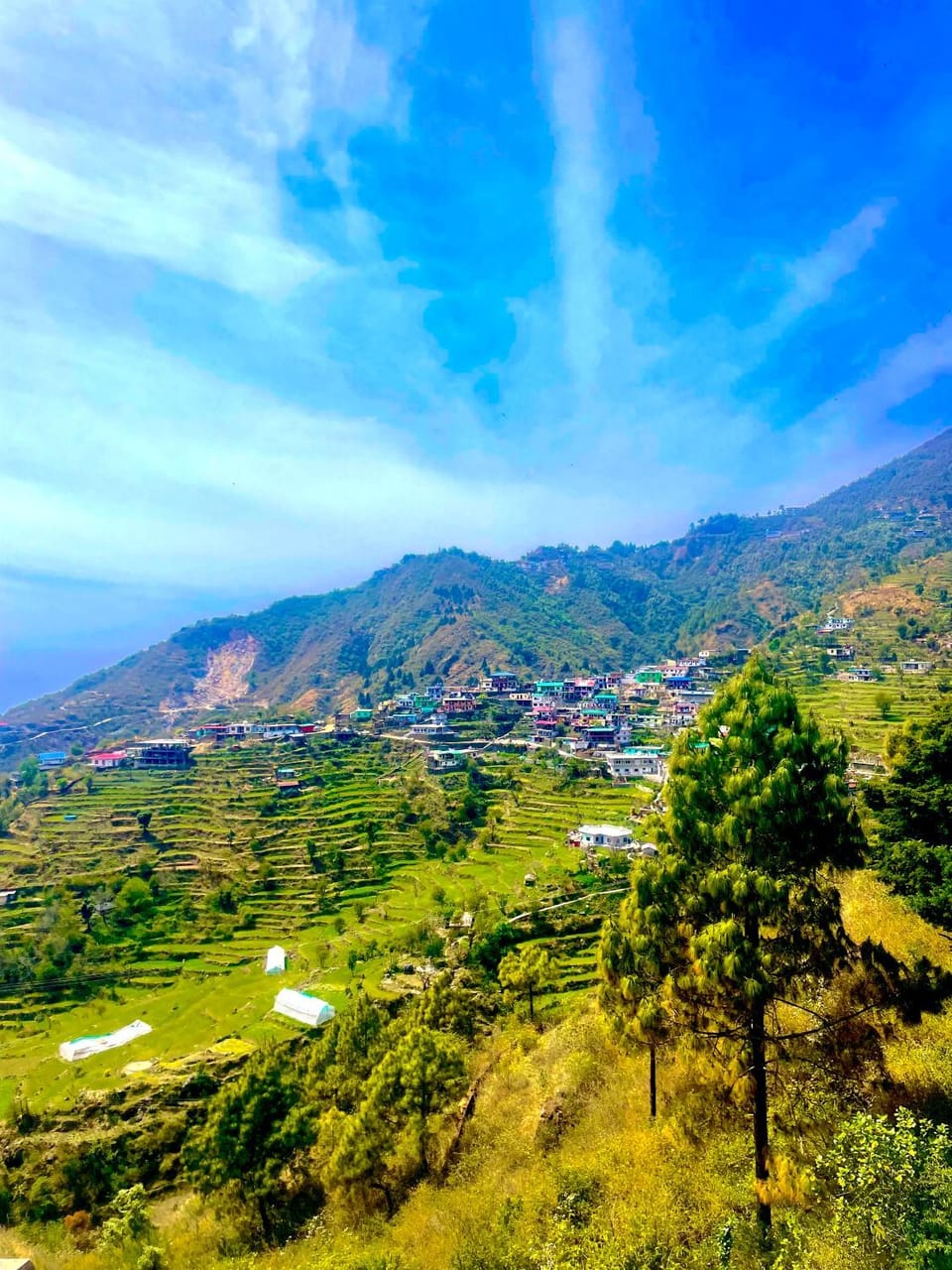 ZenRoofs- Cloud Haven 3BHK Villa Villa in Uttarakhand