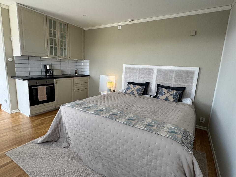 Bed, Kitchen or kitchenette, Photo of the whole room, Bedroom, oven, stove, toaster