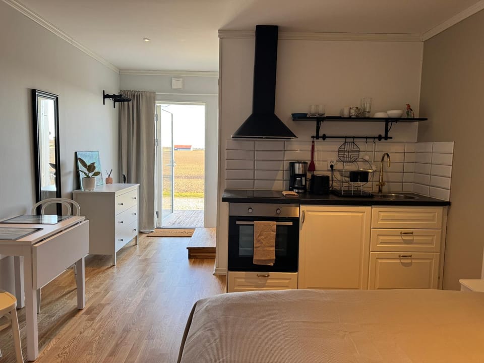 Kitchen or kitchenette, kitchen