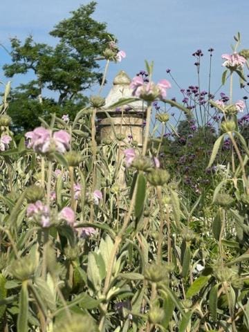 Château LA ROBERTERIE logement entier proche Saint Emilion Villa in Nouvelle-Aquitaine