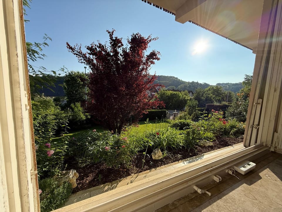 Natural landscape, Garden, Garden view