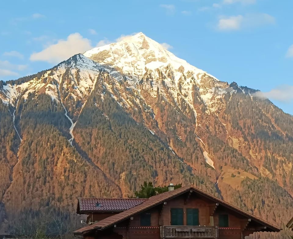 Mountain view