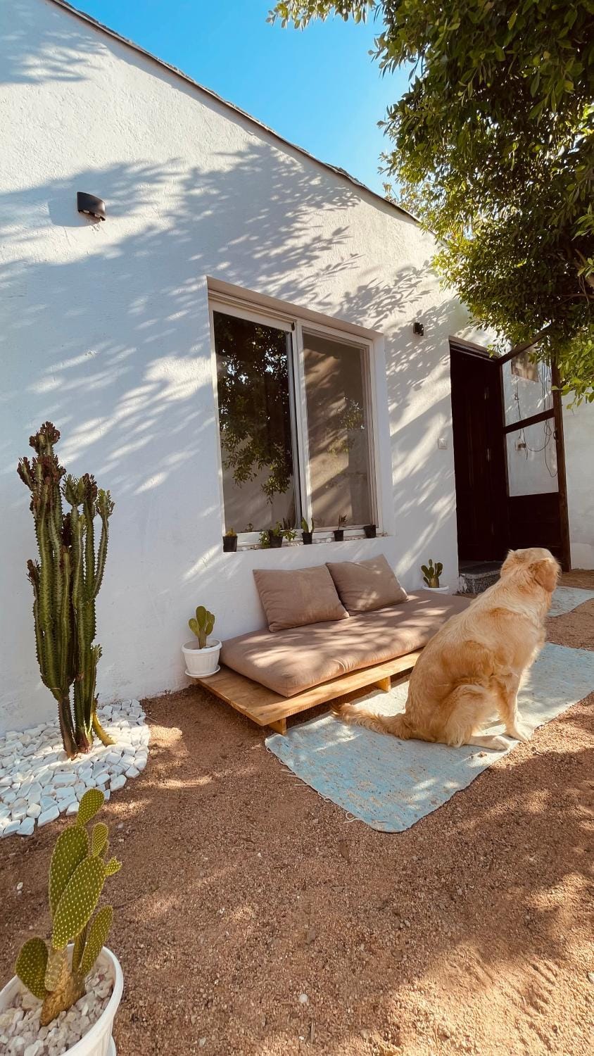 Verda House in South Sinai Governorate